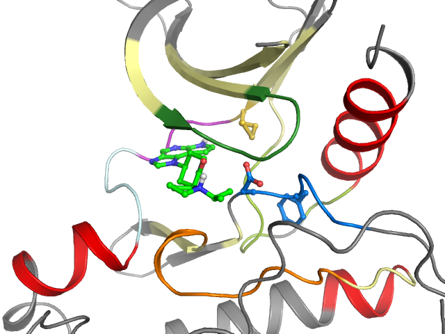 The orthosteric binding pocket