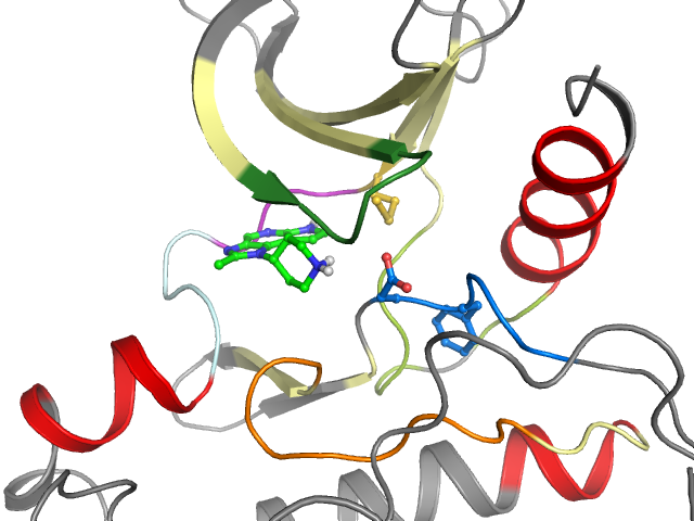 The orthosteric binding pocket