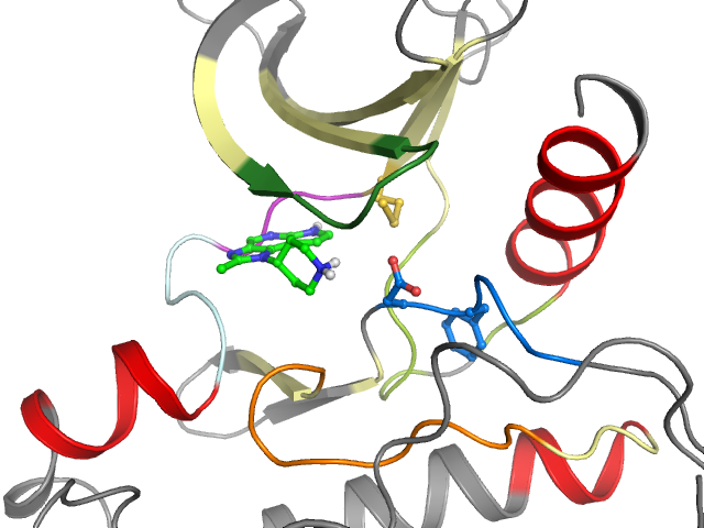 The orthosteric binding pocket