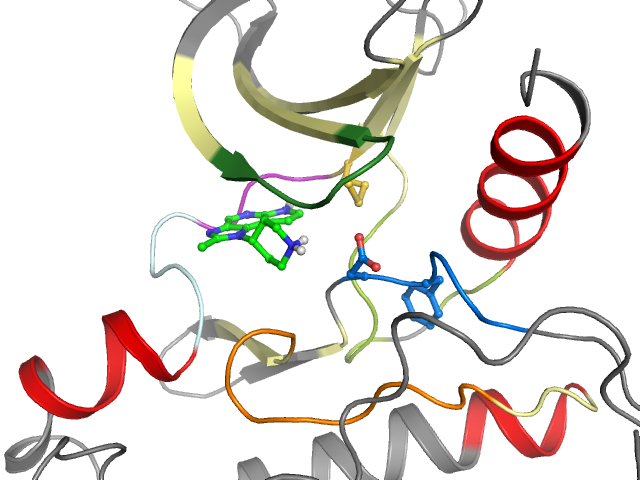 The orthosteric binding pocket