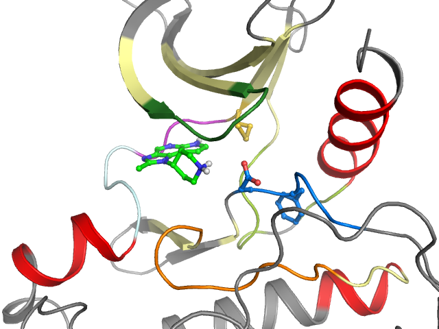 The orthosteric binding pocket