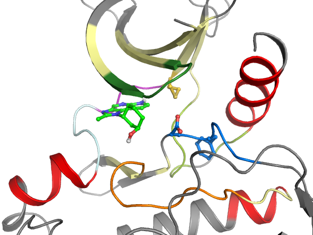 The orthosteric binding pocket