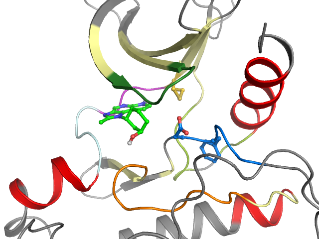 The orthosteric binding pocket