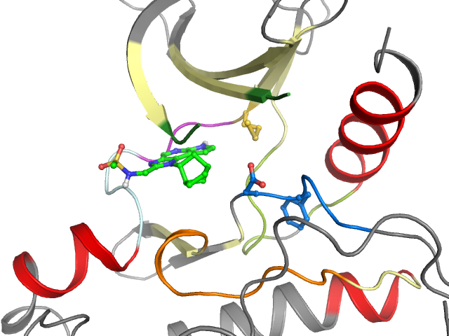 The orthosteric binding pocket