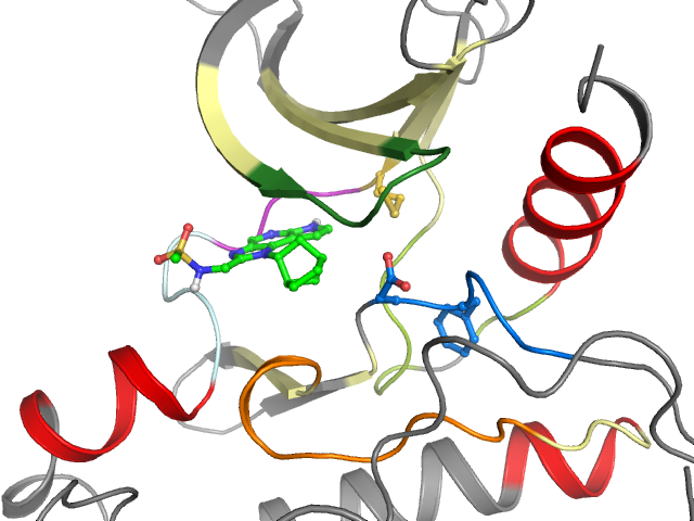 The orthosteric binding pocket