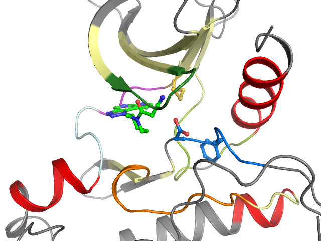 The orthosteric binding pocket