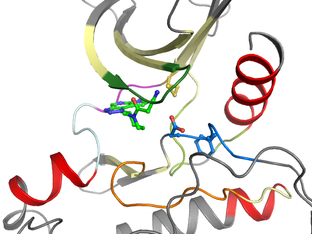 The orthosteric binding pocket