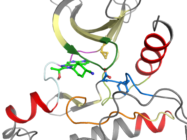 The orthosteric binding pocket