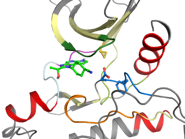 The orthosteric binding pocket