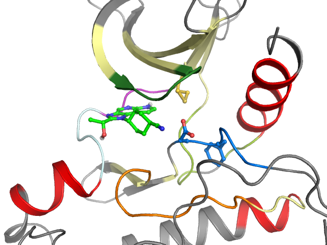 The orthosteric binding pocket