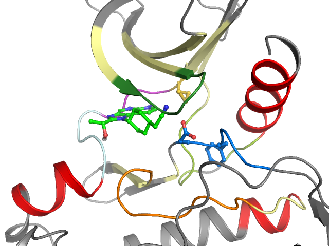 The orthosteric binding pocket