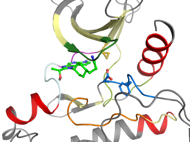 The orthosteric binding pocket