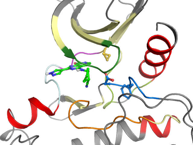 The orthosteric binding pocket