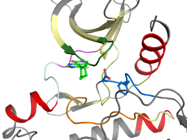 The orthosteric binding pocket