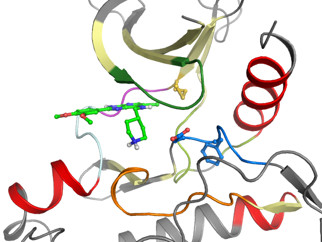 The orthosteric binding pocket