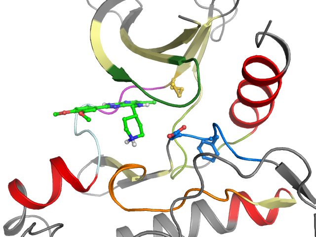 The orthosteric binding pocket