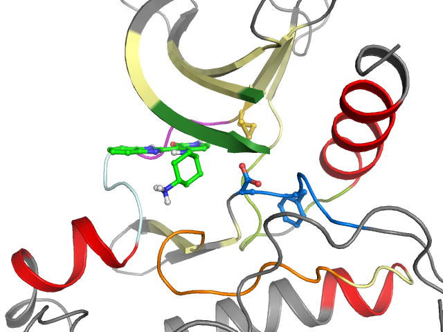 The orthosteric binding pocket