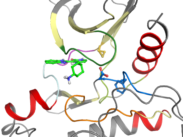 The orthosteric binding pocket