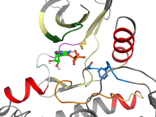 The orthosteric binding pocket