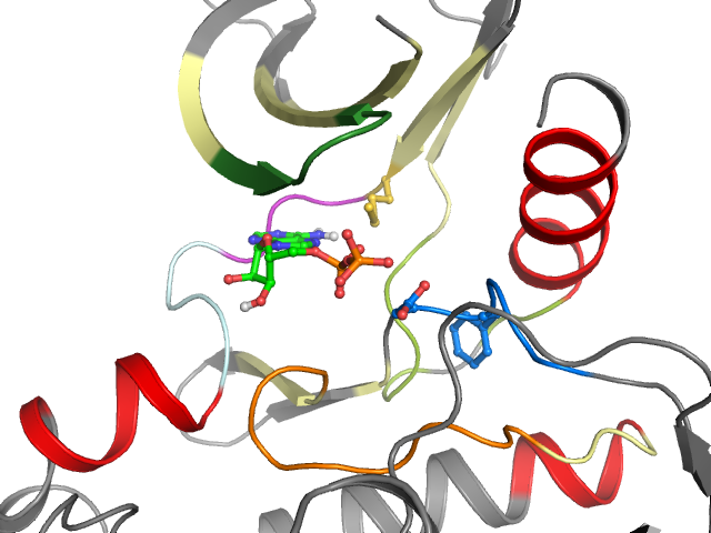 The orthosteric binding pocket
