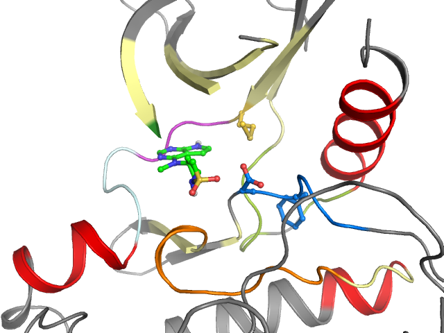 The orthosteric binding pocket