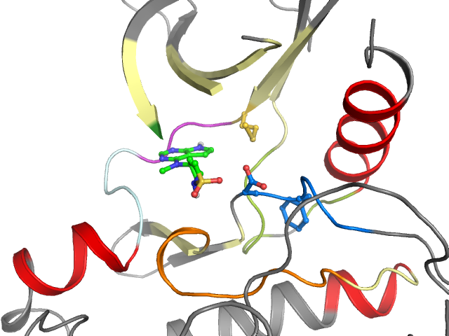 The orthosteric binding pocket