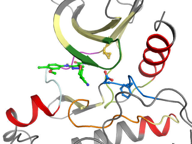 The orthosteric binding pocket