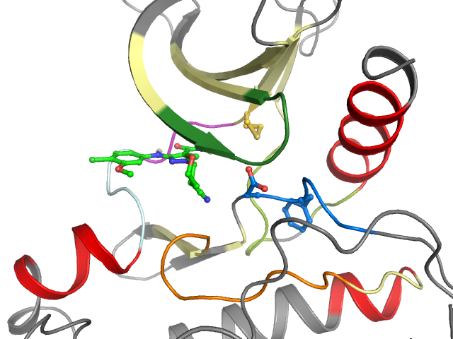 The orthosteric binding pocket