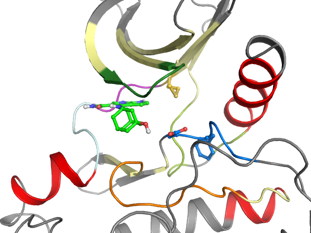 The orthosteric binding pocket