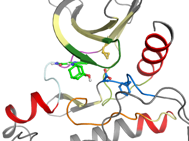 The orthosteric binding pocket