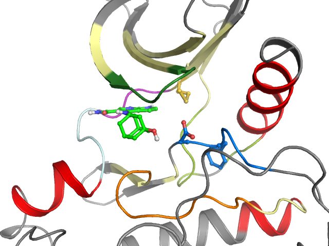 The orthosteric binding pocket