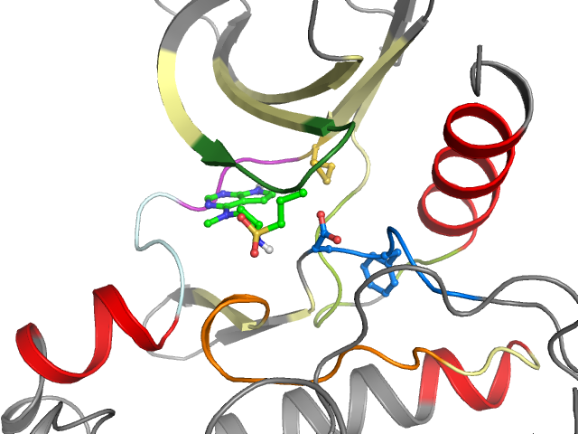 The orthosteric binding pocket
