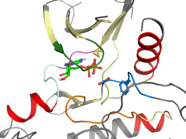 The orthosteric binding pocket