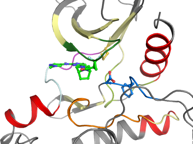 The orthosteric binding pocket