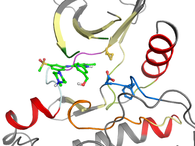 The orthosteric binding pocket