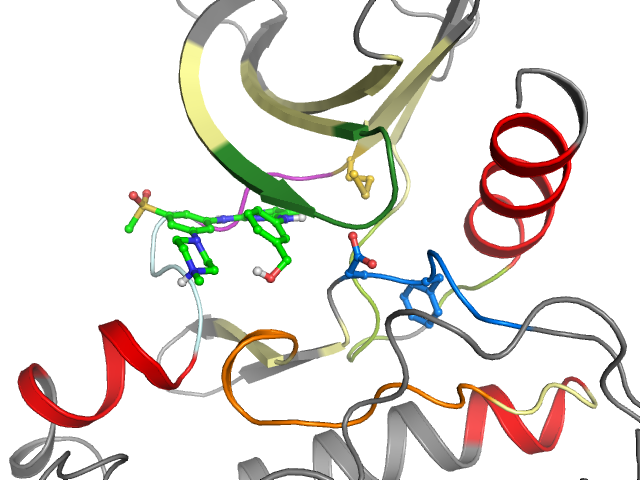The orthosteric binding pocket