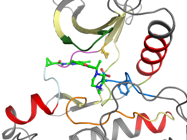 The orthosteric binding pocket