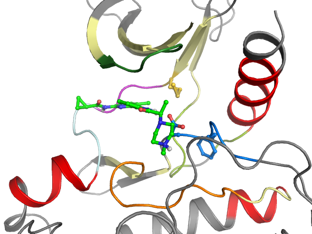The orthosteric binding pocket