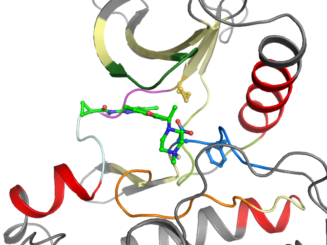 The orthosteric binding pocket