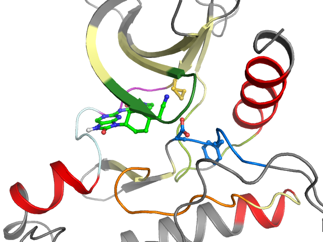 The orthosteric binding pocket