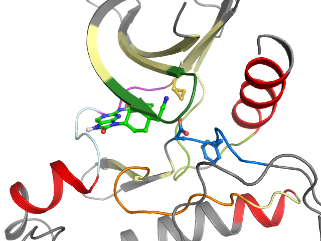 The orthosteric binding pocket