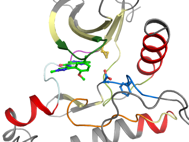 The orthosteric binding pocket