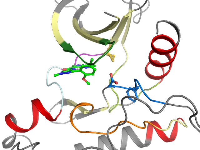 The orthosteric binding pocket