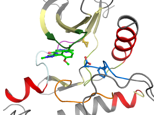 The orthosteric binding pocket
