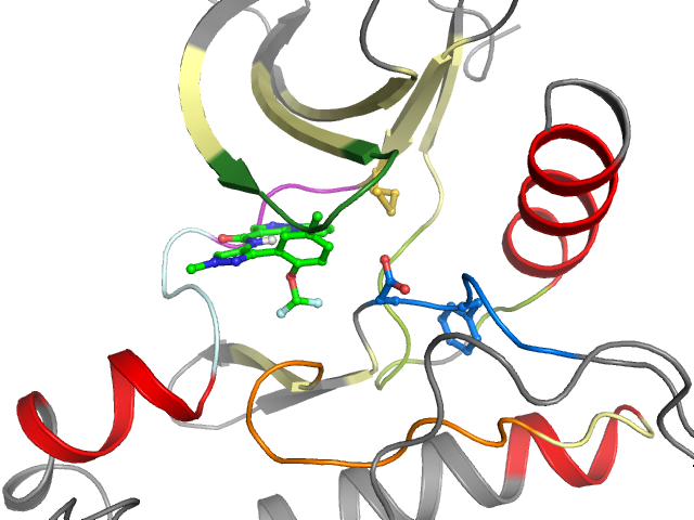 The orthosteric binding pocket
