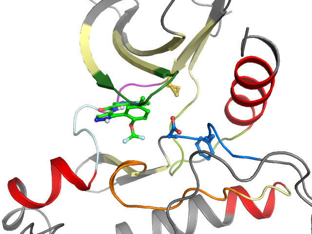 The orthosteric binding pocket