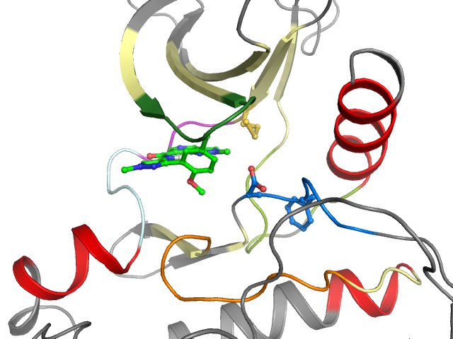 The orthosteric binding pocket
