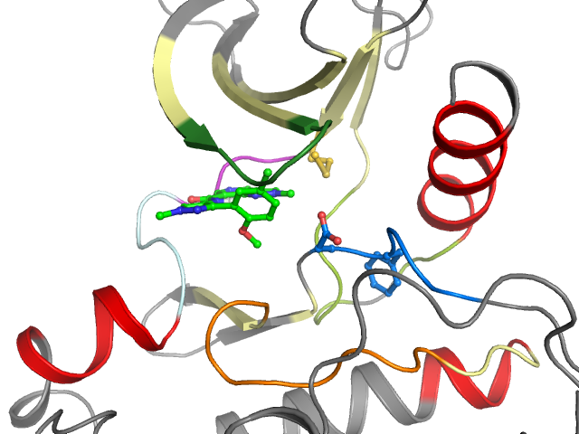 The orthosteric binding pocket