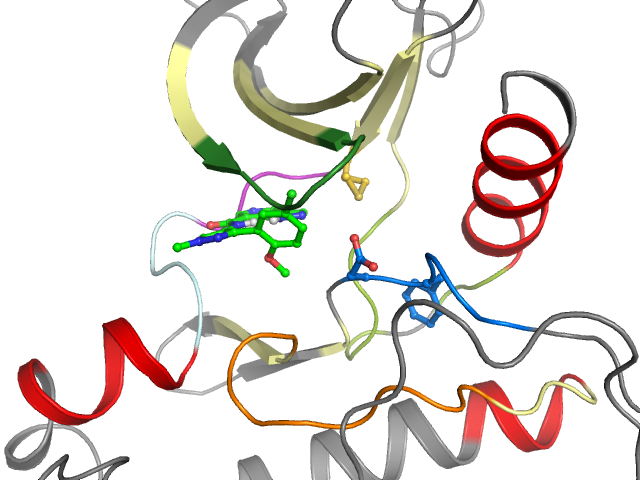 The orthosteric binding pocket