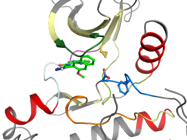The orthosteric binding pocket